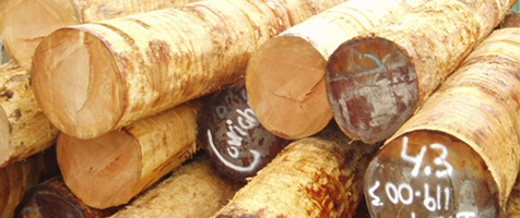 douglas fir | products | cowichan lumber